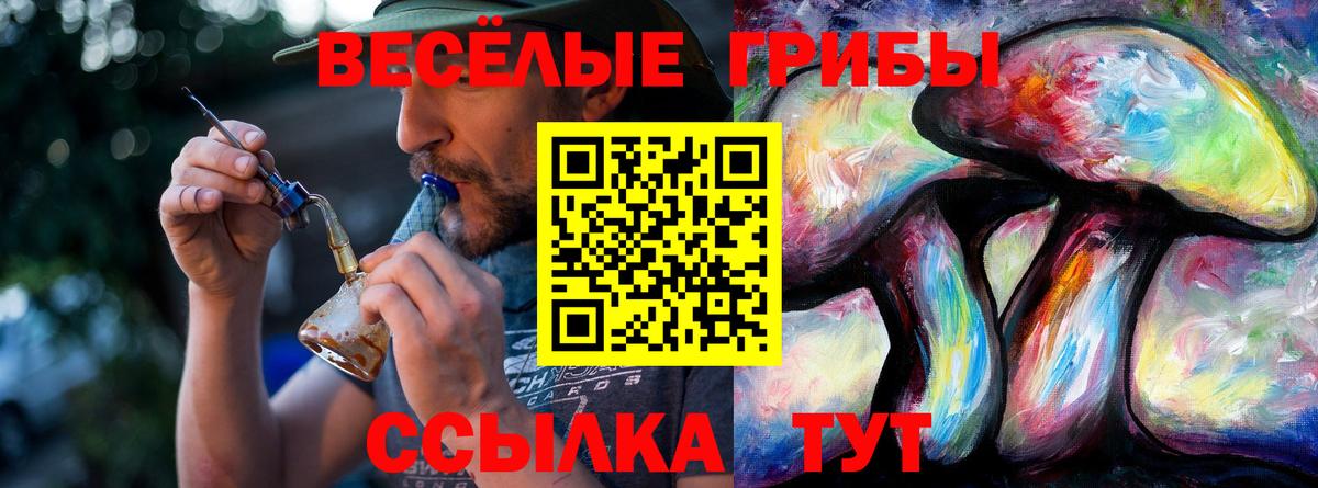 Псилоцибиновые грибы Magic Shrooms  Вход с VPN  Светлоград  Псилоцибиновые грибы мицелий 