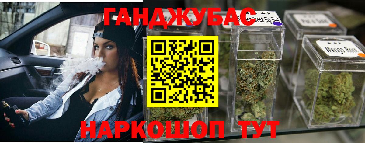Шишки марихуана планчик Светлоград